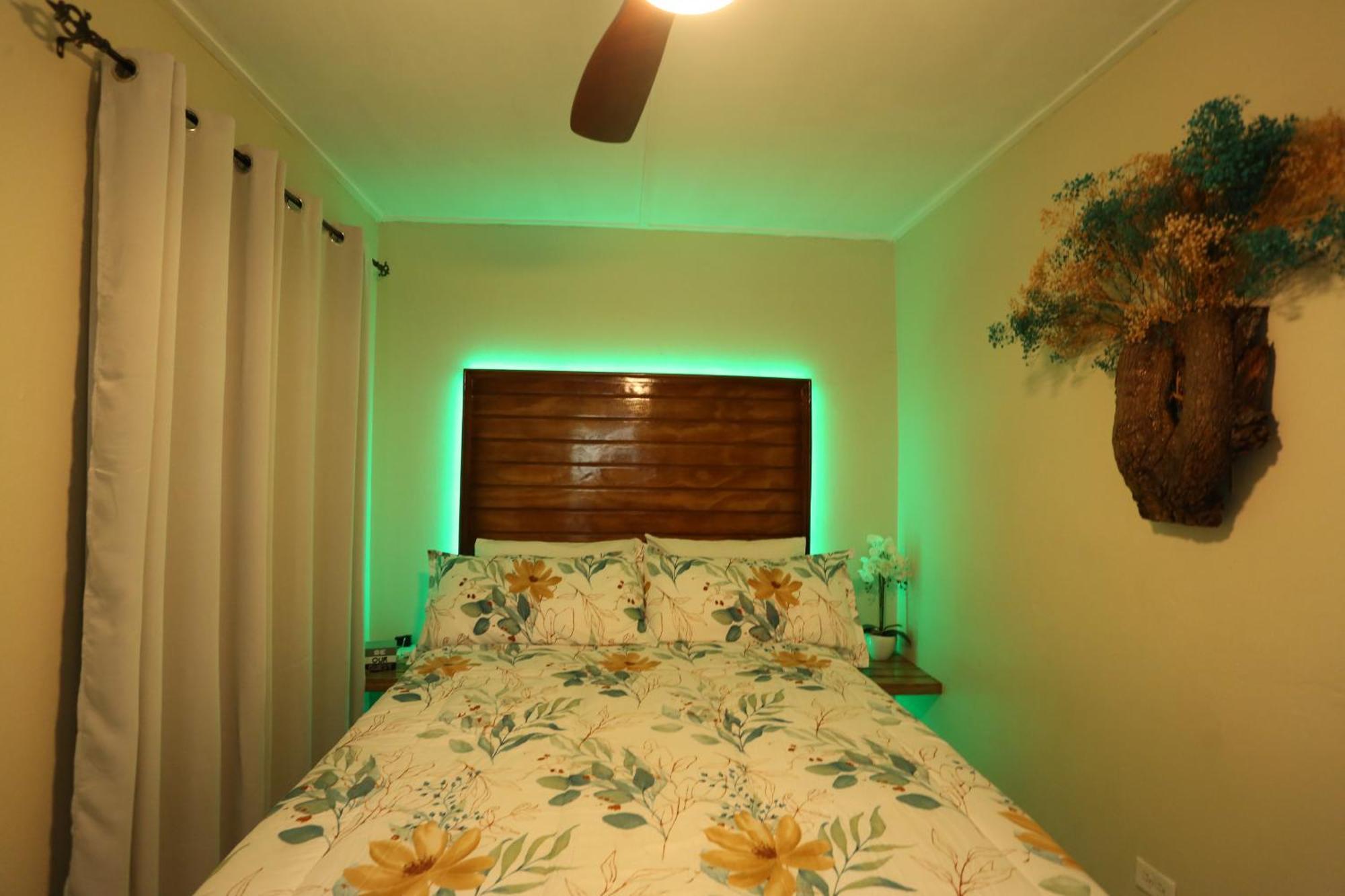 Hidden Gem Apartman Kingston Kültér fotó
